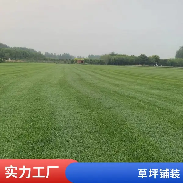 海淀草坪基地别墅花园设计施工私家别墅花园设计铺装