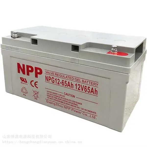 NPP��������NPG12-65 12V65AH ��ѹ����ֱ����Ӧ�������͵�ƿ