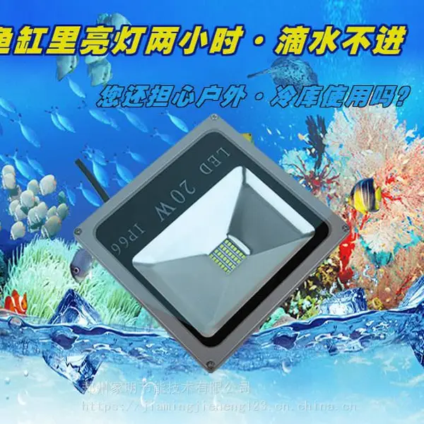 ��������һ�廯T��Ͷ���20wl������LED����