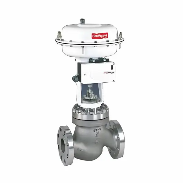 ����FLOWSERVEִ����