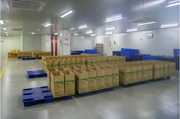 上海跨境电商dhl包清关 诚信互利 上海灵捷速递服务供应