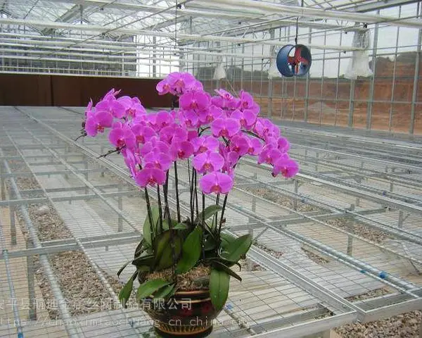 �����紲�������ƶ��紲���ִ�ũҵ�е�Ӧ��