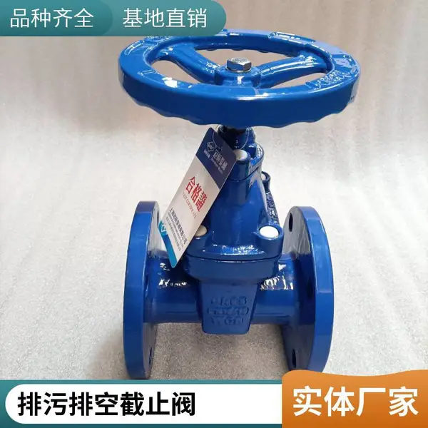 Z45X-10Q DN50平底 全流域直通式设计手动法兰弹性座封铸铁闸阀