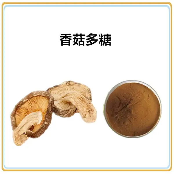 沃特莱斯生物 香菇多糖30% 浸膏 多规格可定制 棕黄色粉末