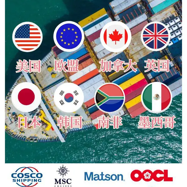 中美电池海运dg柜专线订舱深圳国际货代选择保时运通