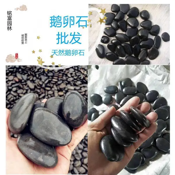 �㶫�麣��ɫ����ʯ��·�̵� �麣����ʯͥԺ��԰�쾰