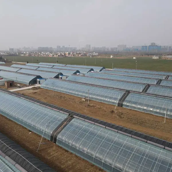 【歌珊温室】建造温室大棚合理的布置间距