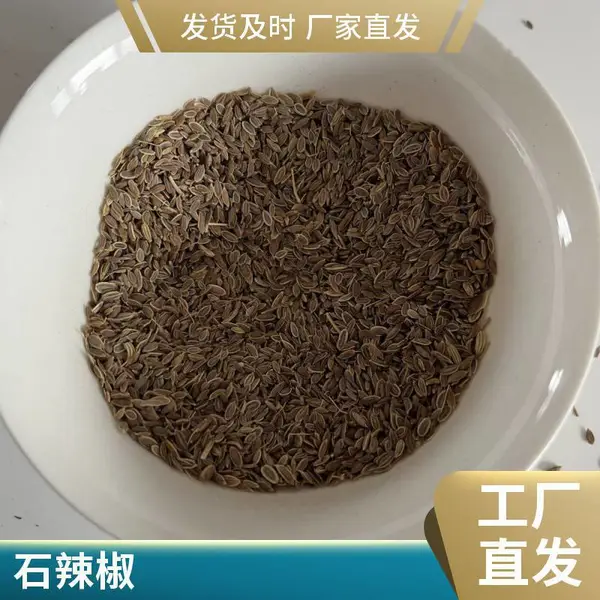 ��ҩ�� ������ ������Ч���� ���ҩҵ ���ع�Ӧ ǧ����