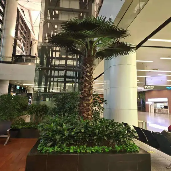 沈阳仿真大型椰子树_仿真海藻树销售_仿真滴流观音树