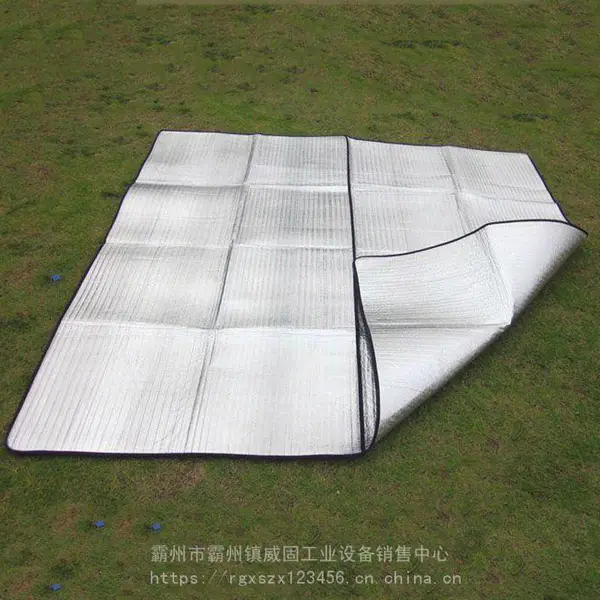 双面铝膜EVA防潮垫野营帐篷睡垫5-8人户外草坪隔脏垫防水野餐垫威固