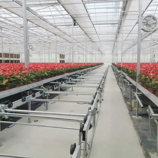 连栋温室大棚全自动物流潮汐苗床花卉种植转移设备
