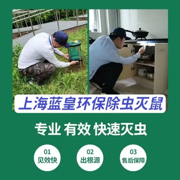 �Ϻ�ɱ�湫˾ѧУ���оƵ��������������������Ӭ����绰