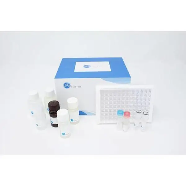 ��������Ӧ�B(NF-��B)ELISA�Լ��� C86-4688-28 ER1186