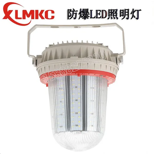 浙江新黎明环保LED防爆灯 BZD180-103 30W,70WLED防眩泛光灯 电厂用玉米防爆灯