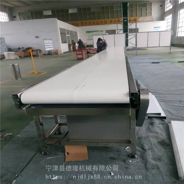 平行直线输送机皮带输送机营养餐花生核桃输送机皮带流水线德隆定制