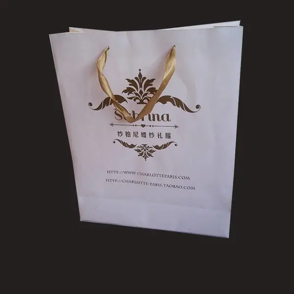 供应纸质手提服装袋 ***环保广告袋环宇***包装