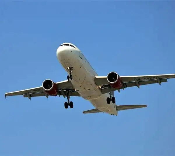广州机场进口牛羊皮清关公司丨牛羊皮空运进口报关流程