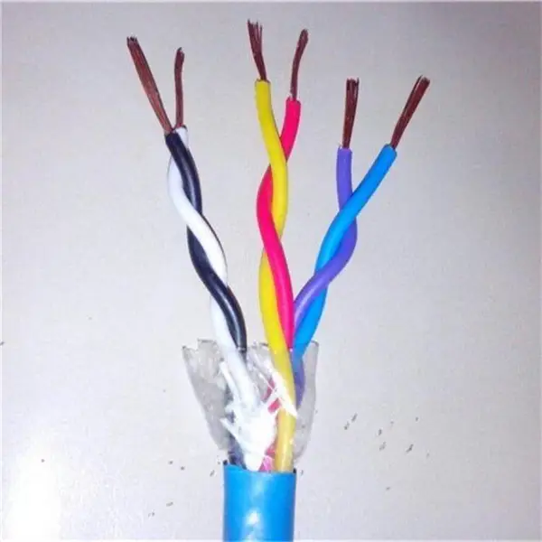 ZR-DJYPVP2X2X1.0阻燃计算机电缆订购泰来2X0.5铠装通讯线缆壮观