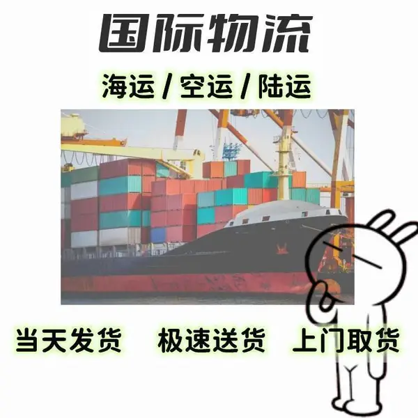 新加坡物流专线 特色服务可运宠物用品门到门特点
