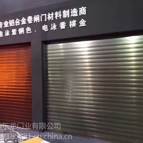 深圳车库电动门 电动车库门 遥控车库门 东龙门业电动门
