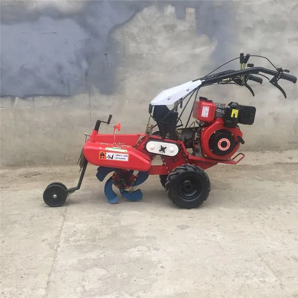 ���ݴ�д󽪿��������� �๦���ַ���԰������ ���� Ʒ�ʱ���