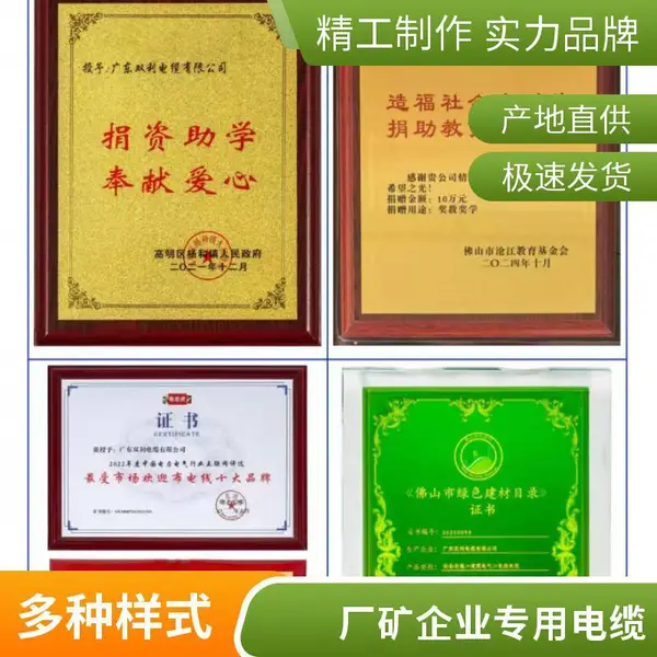双利电缆 橡套电缆 YC 2*2.5平方 移动工具电源线 耐磨柔性好
