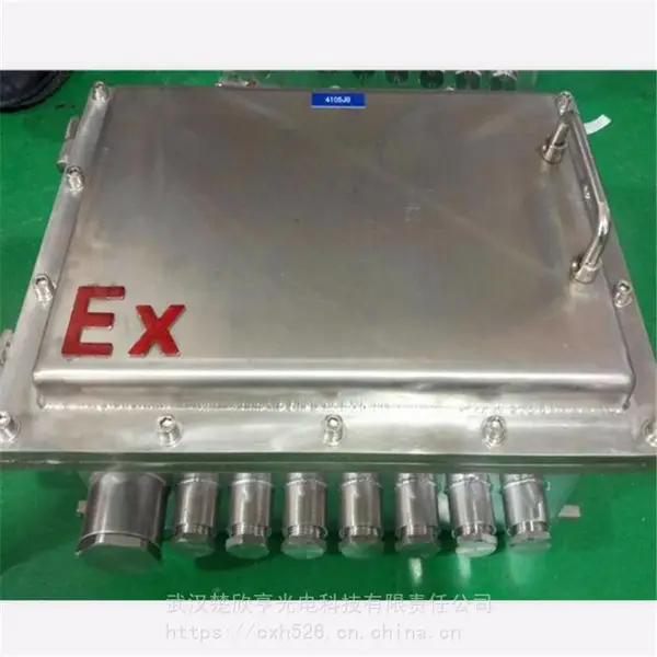 防爆箱400*200*300 两个出线孔 BXJ防爆接线箱 防爆控制箱
