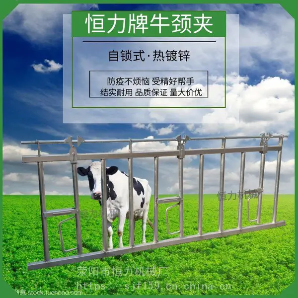 恒力牌育肥牛用牛颈夹配件 奶牛用牛颈枷生产商
