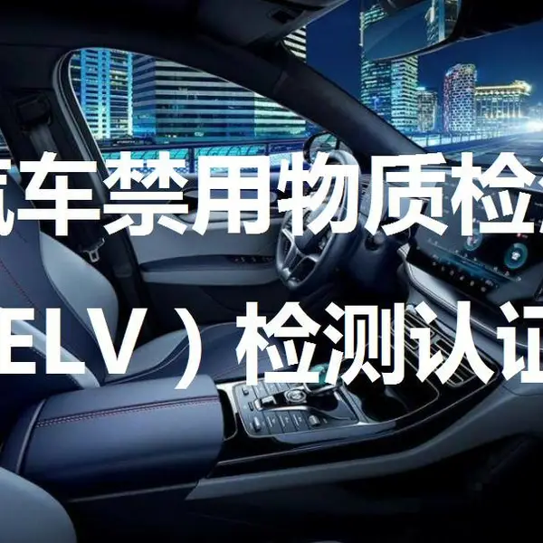 �����������ʼ�⣨ELV�����ü�����