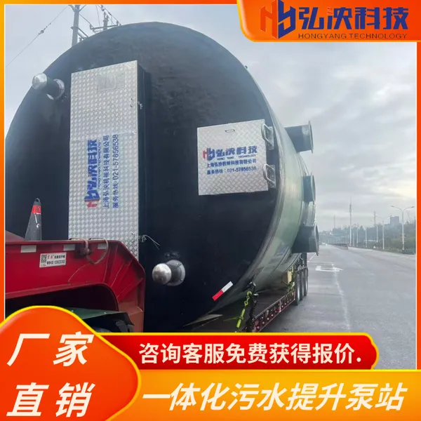 智能型一体化泵站 支持定制 城市雨水排涝设施 安装便捷 弘泱科技