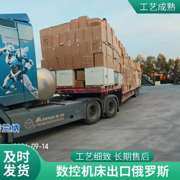 俄罗斯全境清关派送到门 国际海运整柜 物流 货代服务空运代理