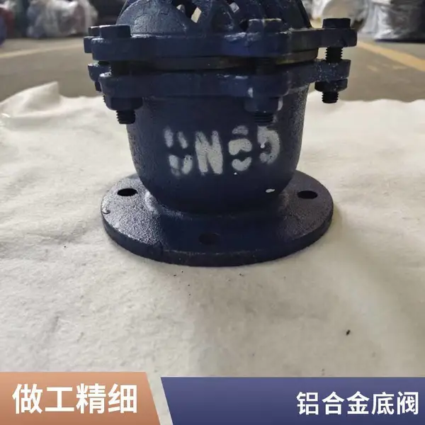 上海底阀厂家 水泵底阀 DN250 铸钢法兰 自来水厂泵房用 耐压高