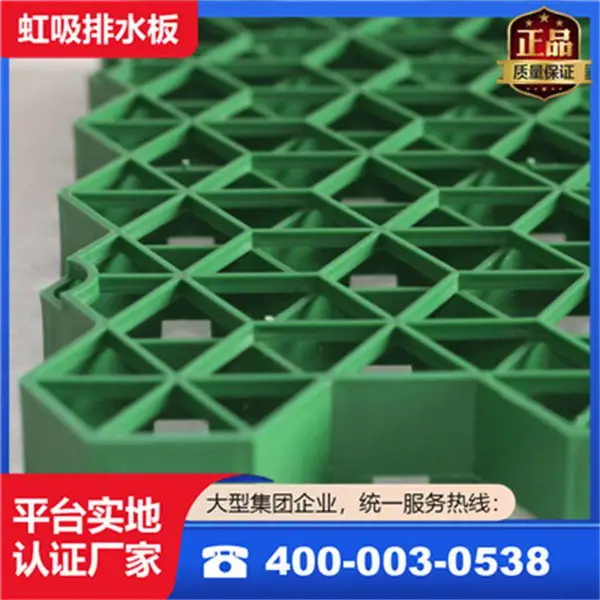 佳美新材料 定制生产 屋顶花园植草格 ***性强 加强型全新料