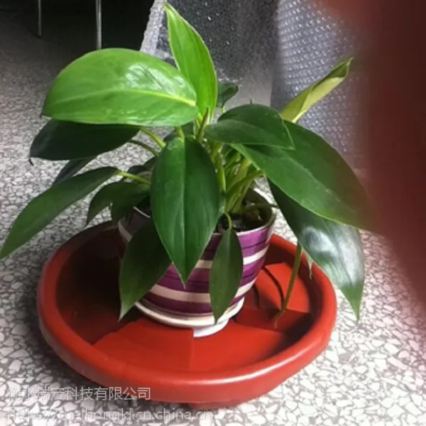 供应卉馨太原塑料带轮花盆轮托厂家