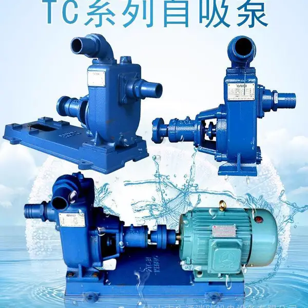 2TC-22园艺喷灌增压泵河道抽水泵