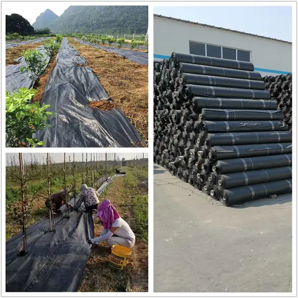 山东2米宽编织型果树防草地布报价 润业土工