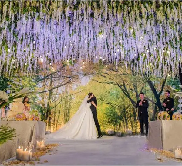 У԰����Χ����ֲ�ﲼ�����񳡵ػ��ű���ǽװ�η���ֲ��