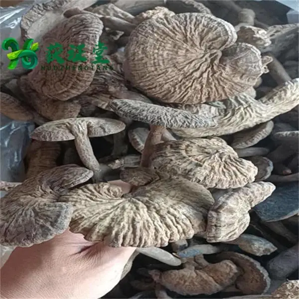 野香血灵芝中药材原生态深山生长药食同源 泡酒泡茶