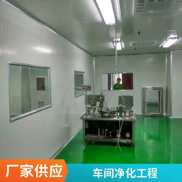 风淋室 不锈钢单双人风淋互锁门通道设备 自动感应车间无尘净化