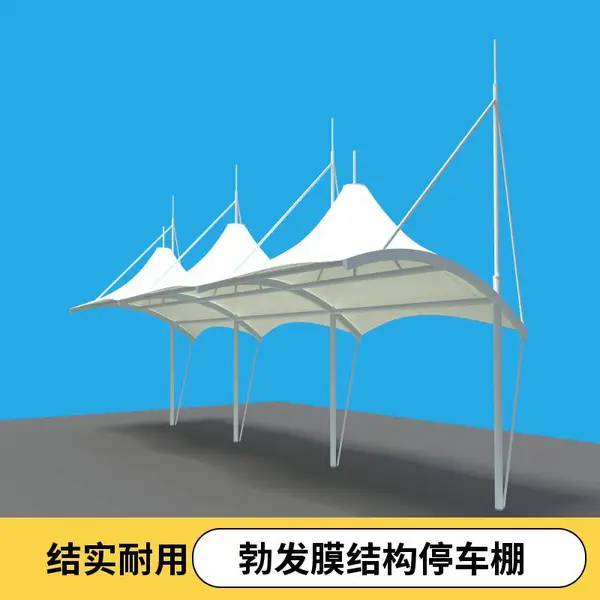 ���ﻧ�⾰�۸�Ĥ�ṹͣ��������Ĥ���׮�����г���pvdfĤ��