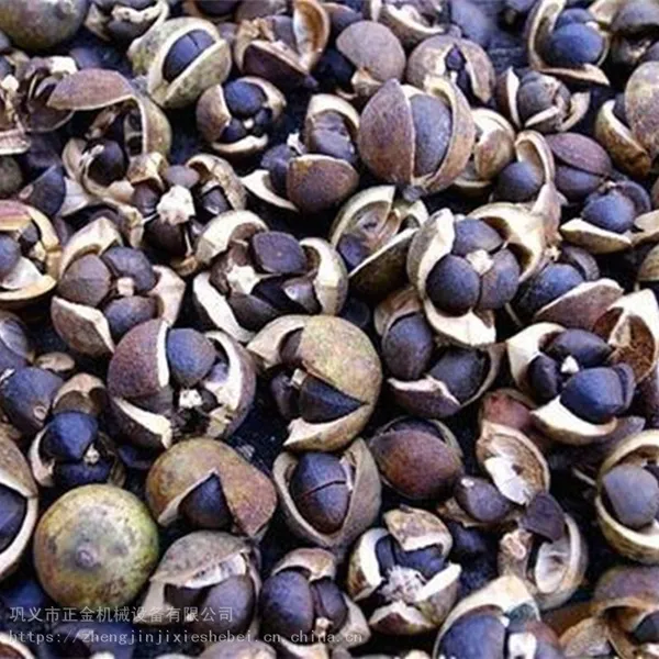多功能茶籽剥壳机 正金机械青油茶籽去壳机器厂家发货