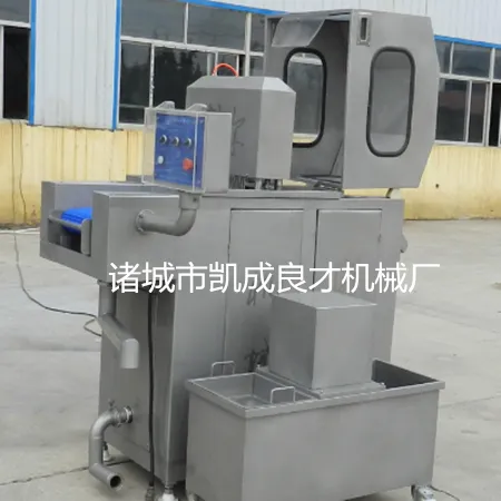 供应诸城市良才盐水注射机
