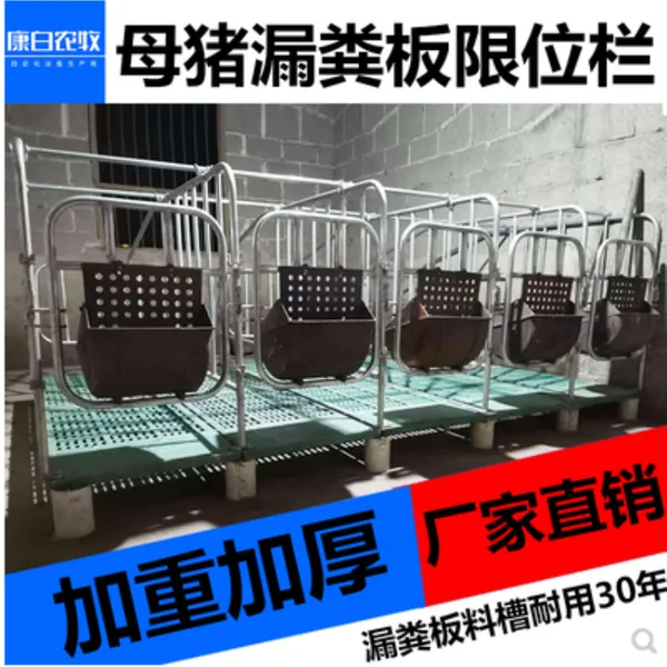 ���������п���ũ�� ©��嶨λ��©�����λ�� Ԥ��� ���ϳ� ĸ����λ��λ���������� ������������