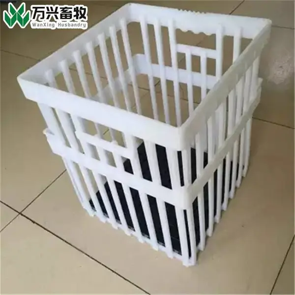 鸡塑料鸡蛋筐 塑料隔板鸡蛋筐 鸡蛋塑料箱