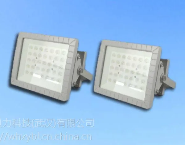������100W����Ͷ��糧����100WLED����Ͷ���