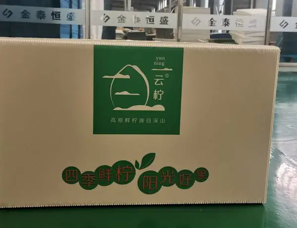 厂家定制批发柠檬包装箱各类水果包装箱