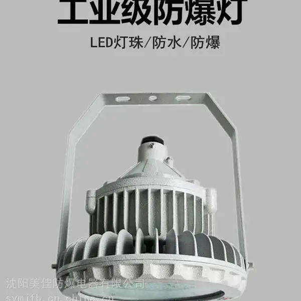 南京 LED工业防爆灯 50W100W150W 免维护防爆照明灯