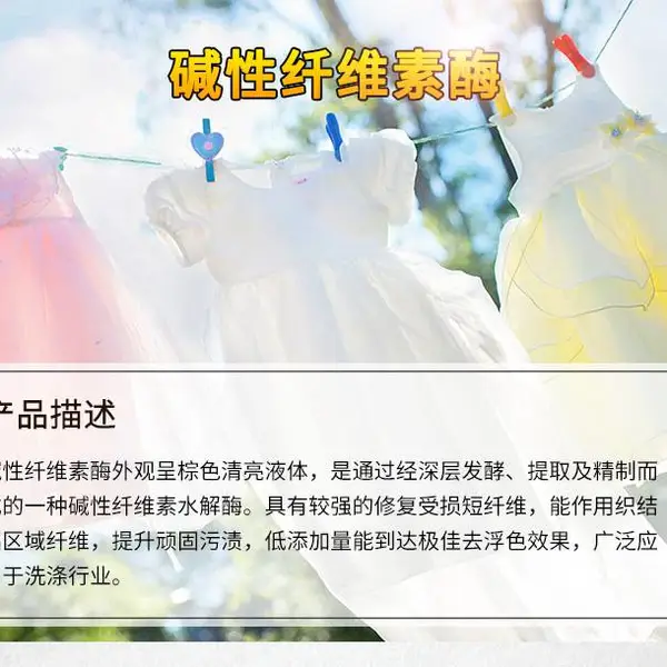 工业级碱性纤维素酶 新型洗涤酶宽pH低添加量去顽渍去浮色