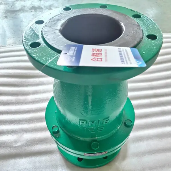 不锈钢小口径 旋启式衬氟止回阀 H44F46-16P DN600