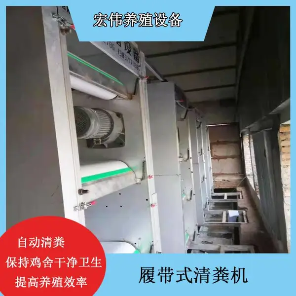 养鸡场用皮带清粪机 全自动化养鸡设备宏伟养殖机械清粪机